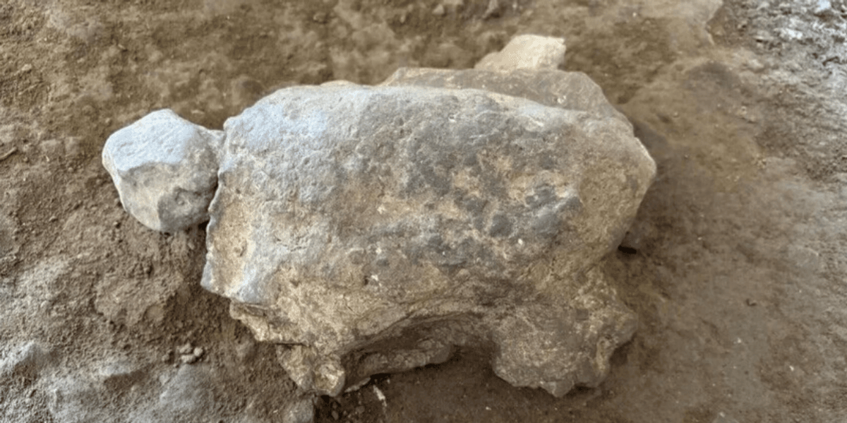 Archaeologists discover 16,000-year-old turtle figurines at prehistoric ritual site