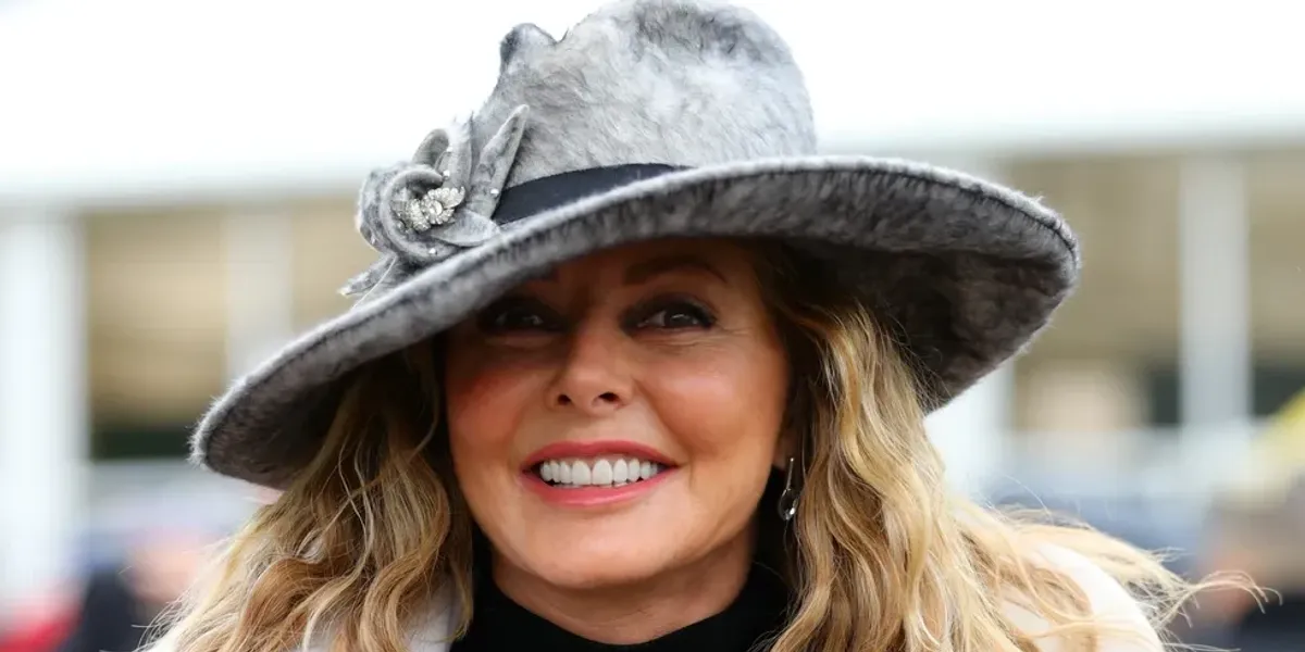 Vorderman launches new investigation into Government as she continues crusade against Tories
