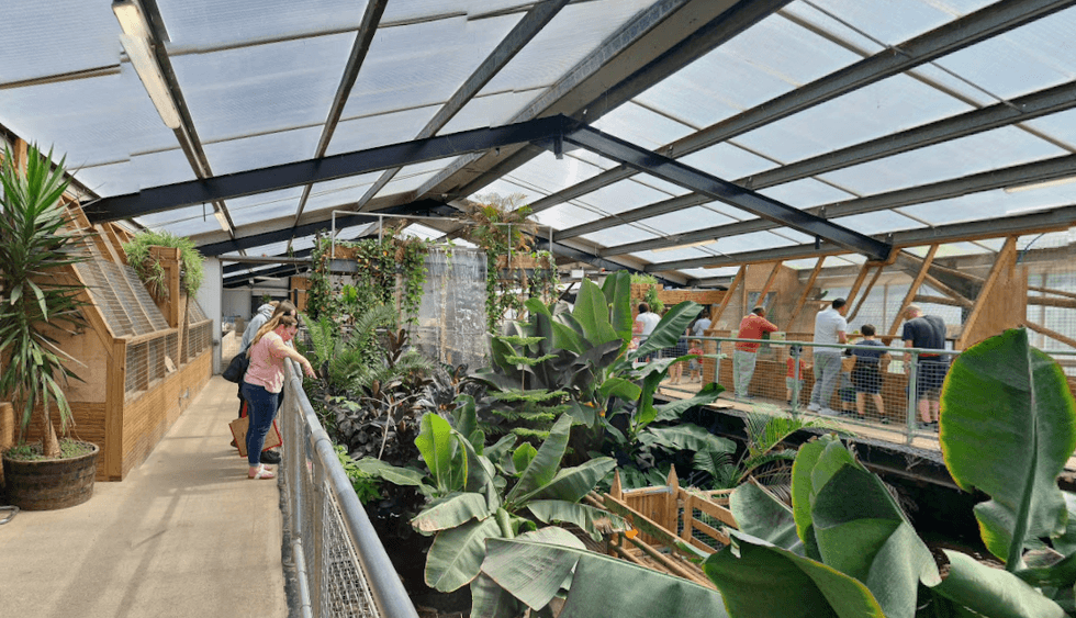 Inside Johnsons zoo in Old Hurst