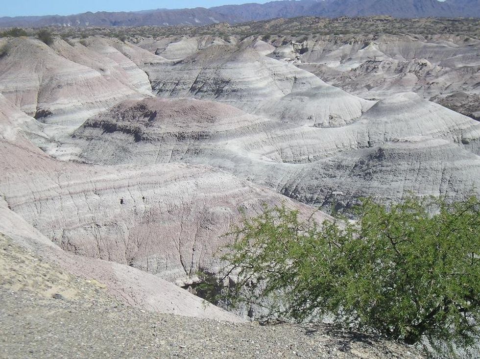 Ischigualasto Provincial Park