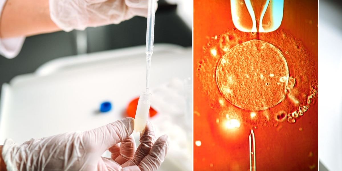 Sperm donor who fathered 197 children found to carry gene mutation that gives children 90% cancer risk