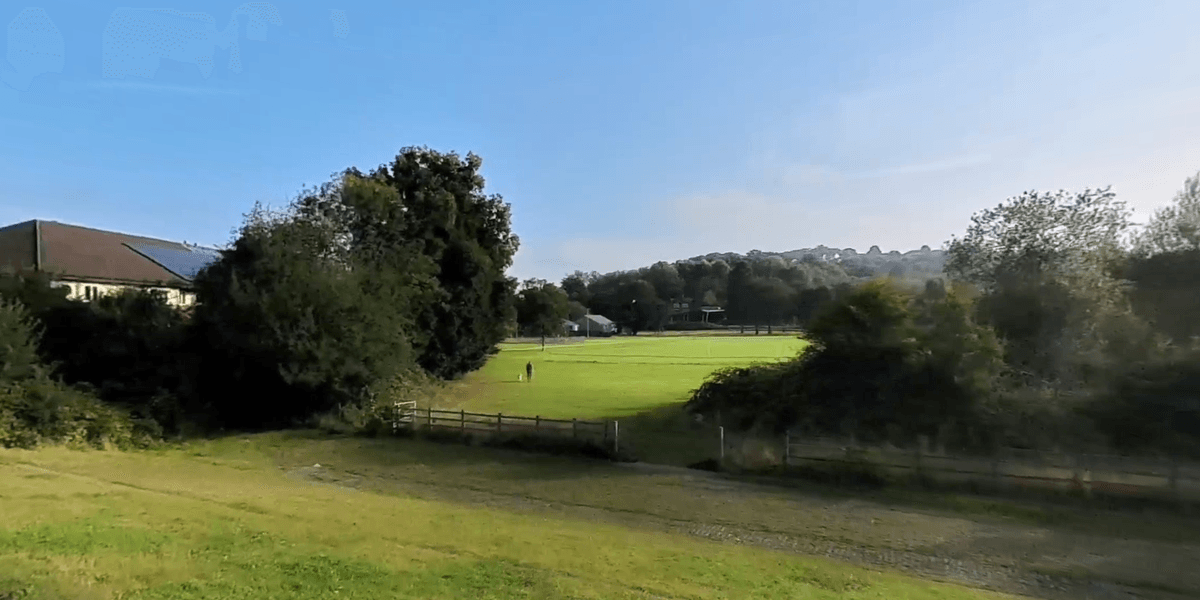 Travellers take over football pitches and park more than 20 vehicles after council blunder