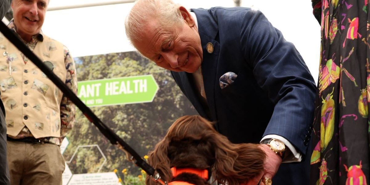 King Charles urged to distance himself from beloved dog breed as Peta warns of 'debilitating' diseases
