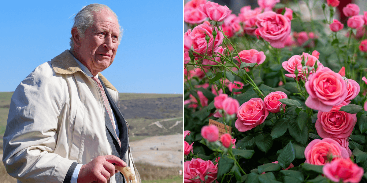 King Charles drives Chelsea Flower Show to change rule for only second time in history