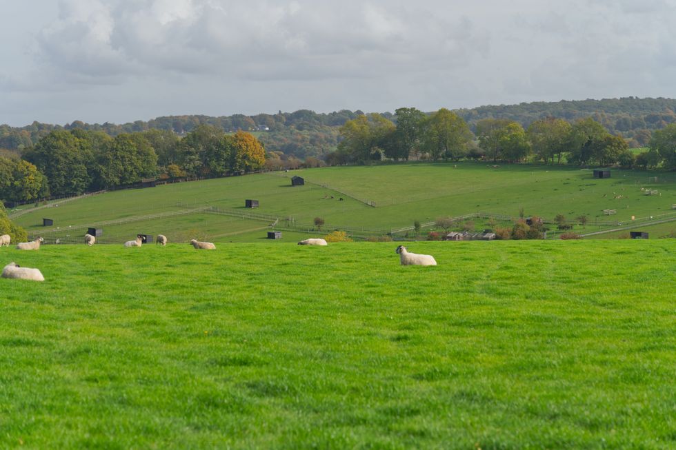 Leatherhead Surrey