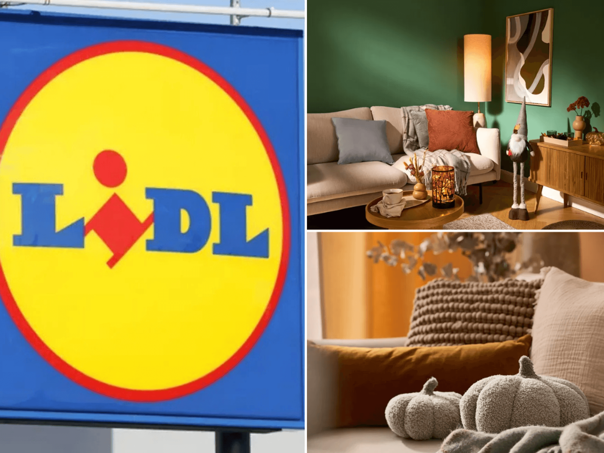 Lidl sign / Lidl autumn home range