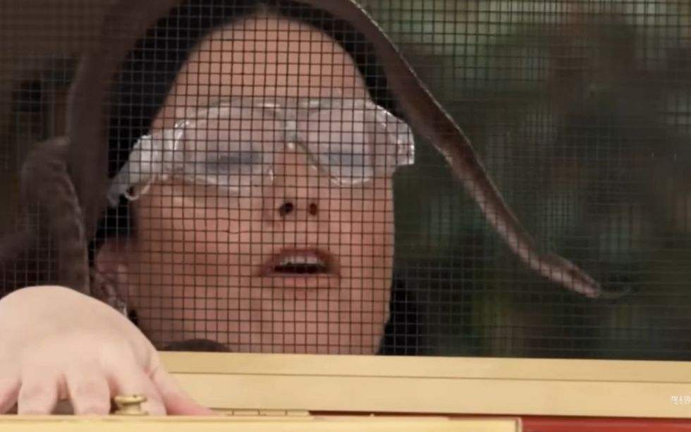 Lisa Riley