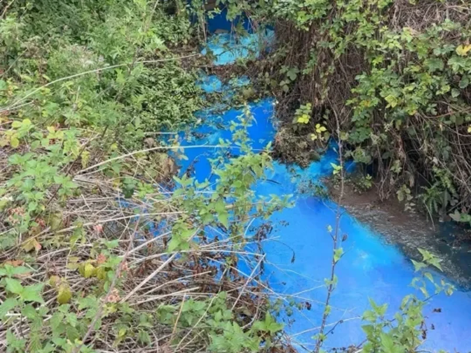 Littleham Brook substance