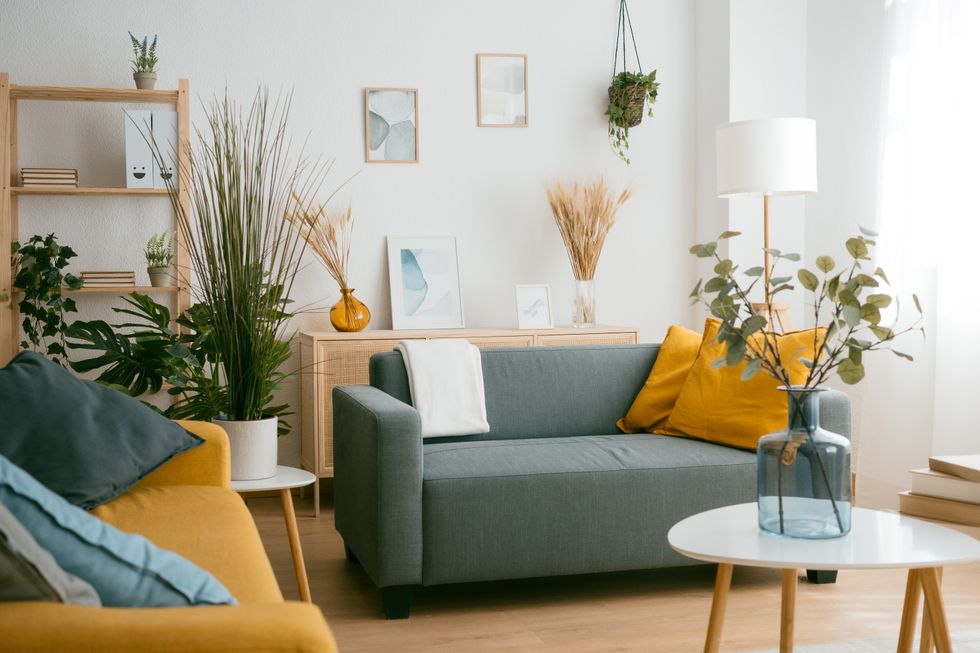 Living room with grey and yellow sofas