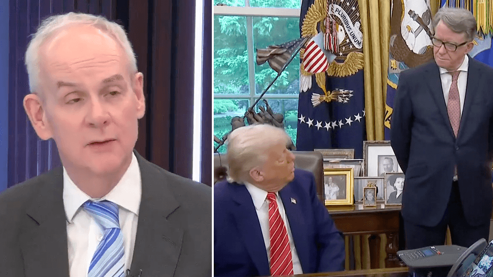 Lord Daniel Moylan, Donald Trump and Lord Mandelson