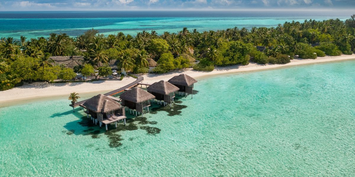 Fresh travel update as holidaymakers must fill out form 96 hours before flying to 'tropical paradise'