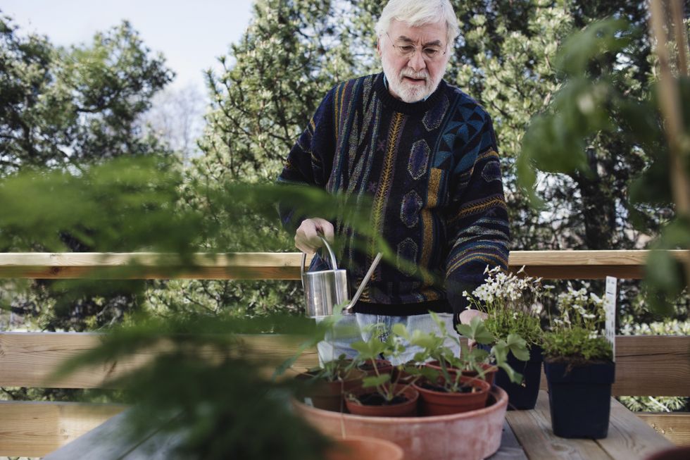 Man gardening winter