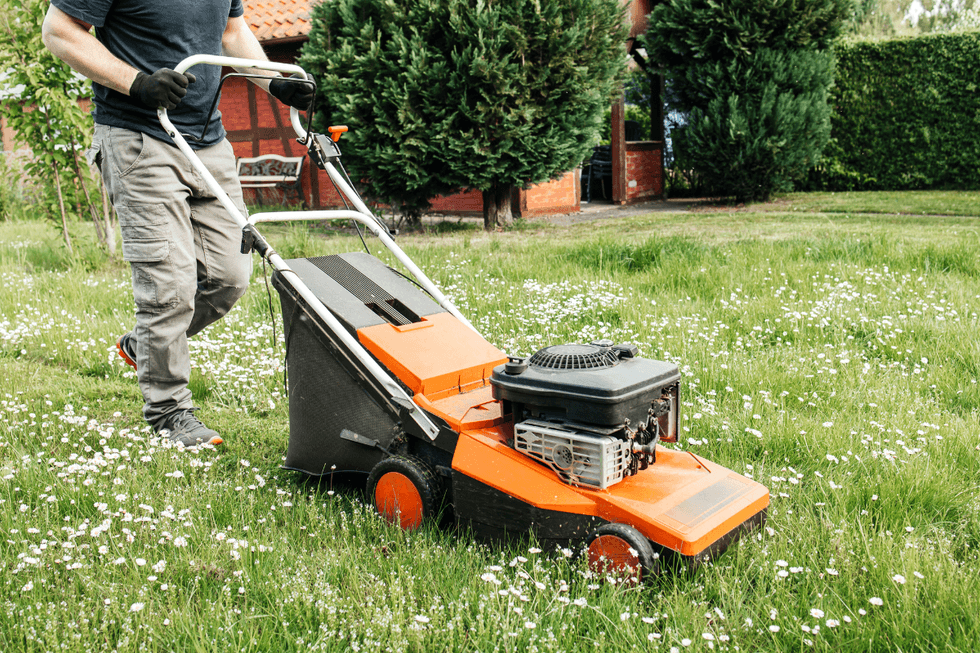 Man mowing the lawn