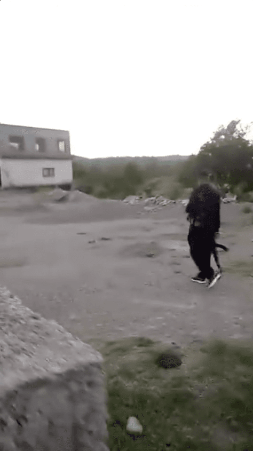 Man with gun outside Eid celebration