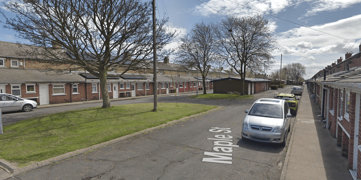 Boy, 6, rushed to hospital with serious injuries after being mauled in horror dog attack