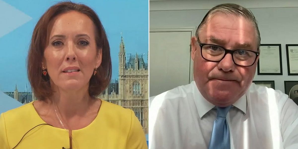 Top Tory blasted by Camilla Tominey for 'wasting time' attacking Reform instead of Labour: 'What are you playing at?!'