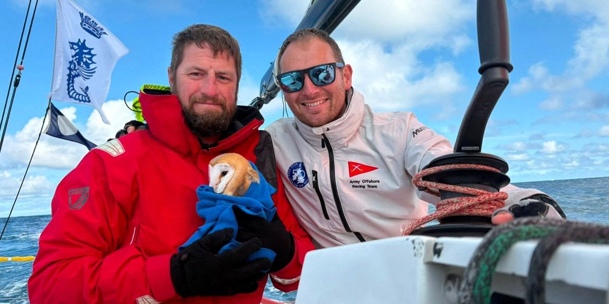 Soldiers rescue barn owl 70 miles off coast while taking part in 2,000 mile race