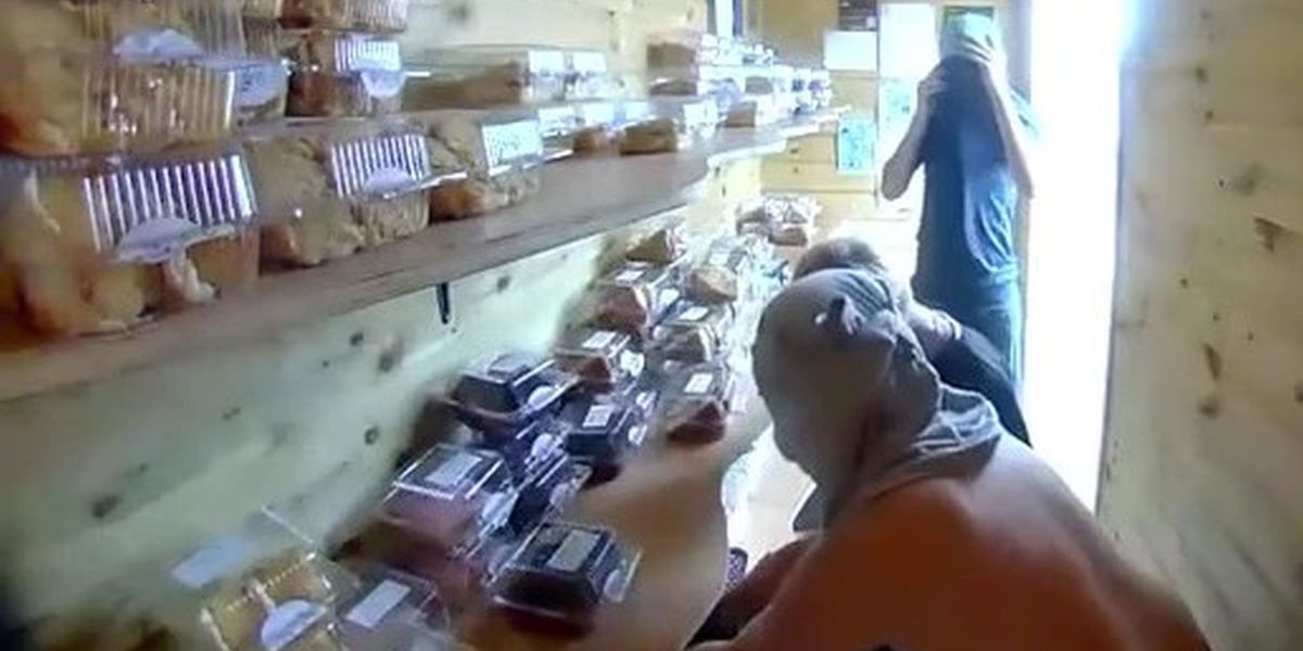 Masked schoolkids raid 'honesty cake shed' before being shamed into returning to pay back £20