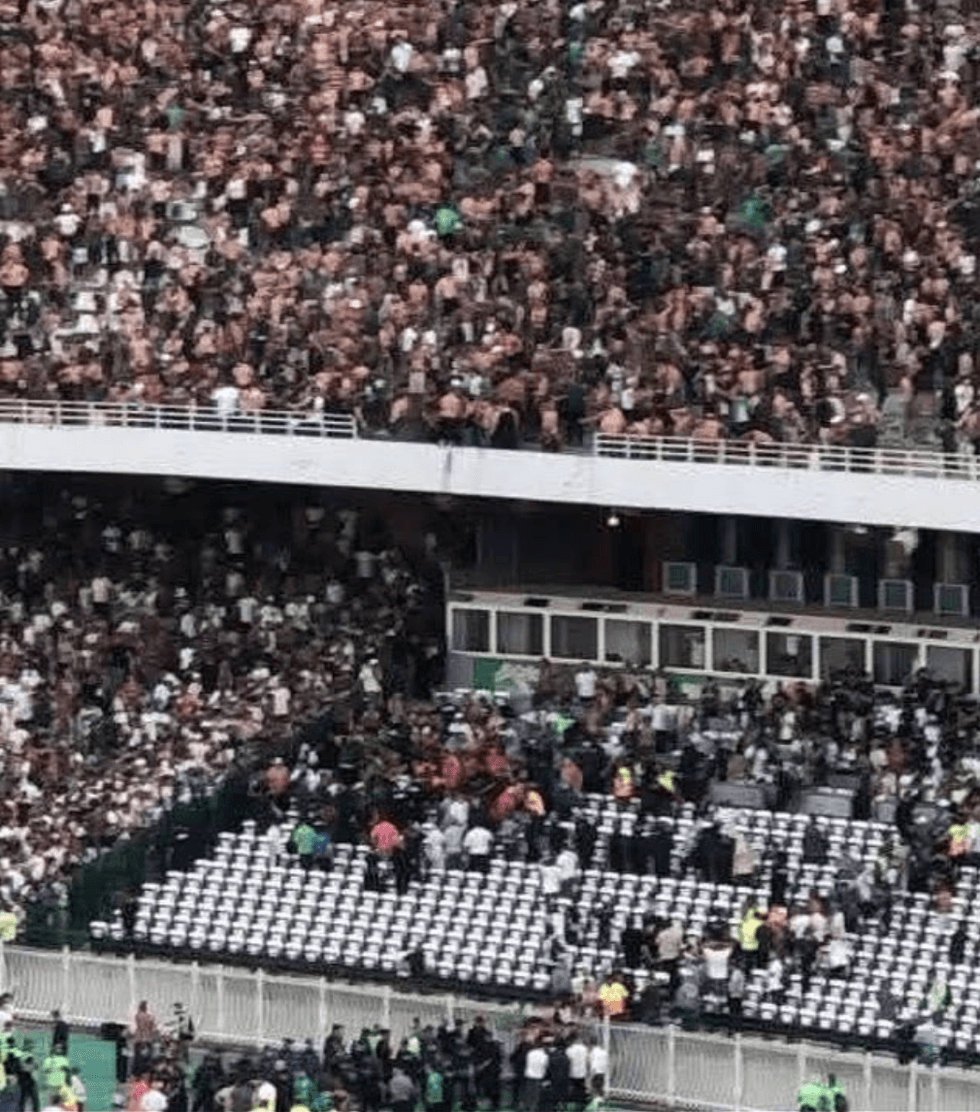 MC Alger fans