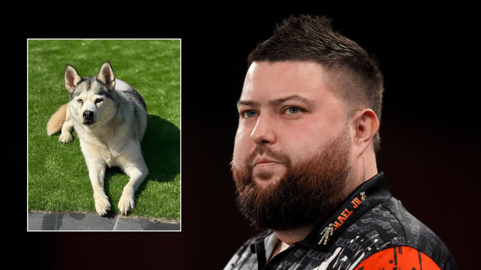 Michael Smith, Dog