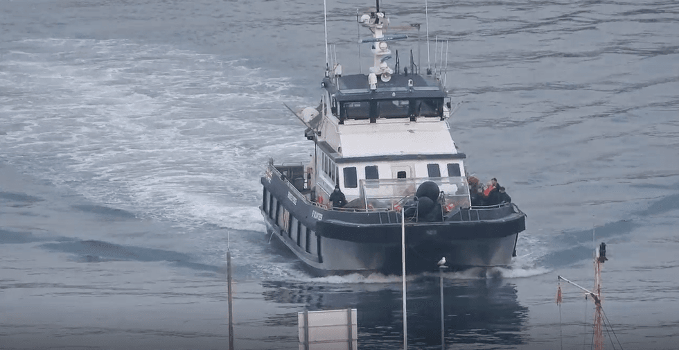 Migrant arrivals