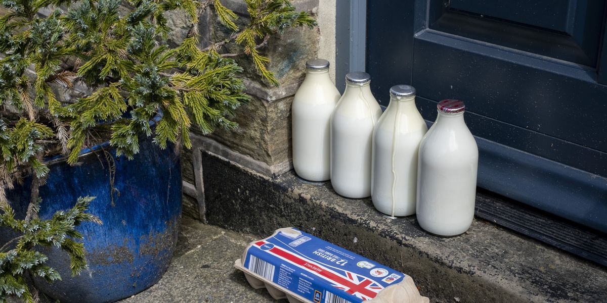 Man sets up camera to catch 'militant vegans' stealing his milk... only to find out it's an unlikely furry suspect