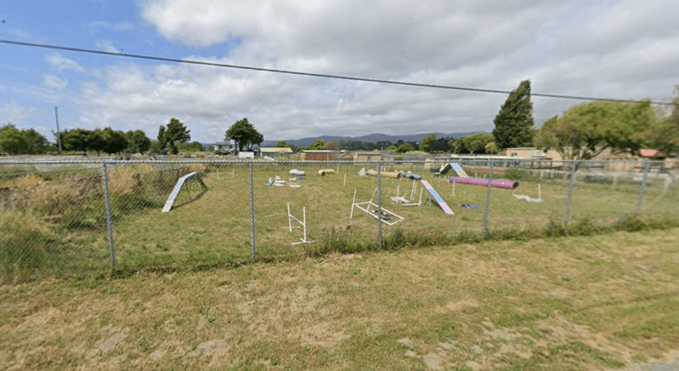 Miranda's Rescue Animal Sanctuary in Fortuna