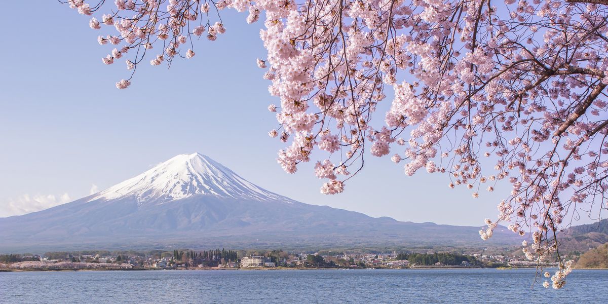 Britons may be victims of drink spiking and credit card fraud in popular East Asian holiday spot