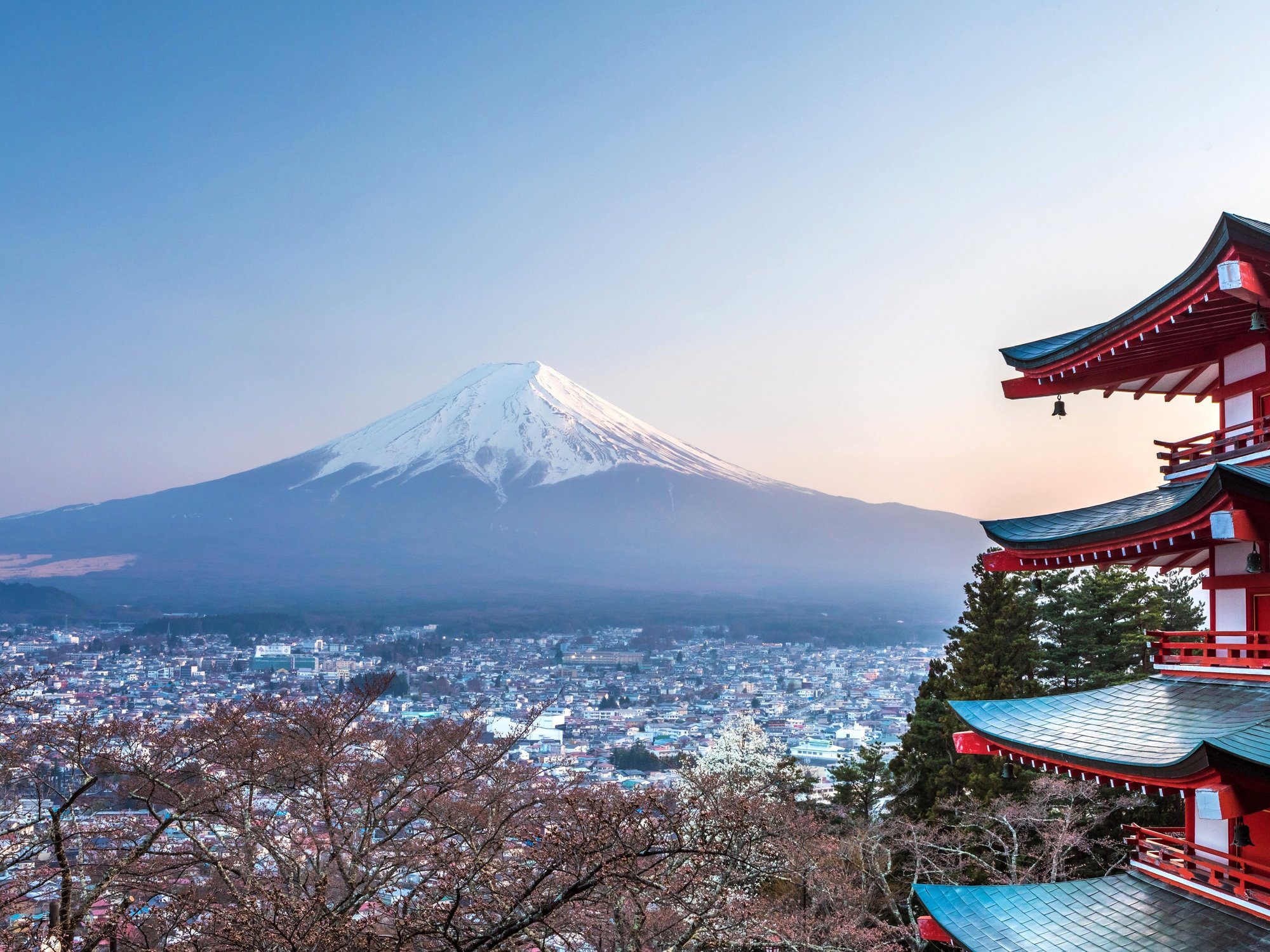 Mount Fuji