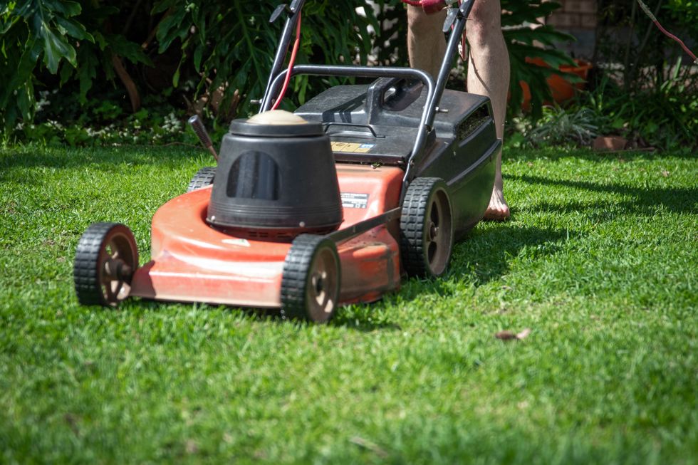 Mowing garden