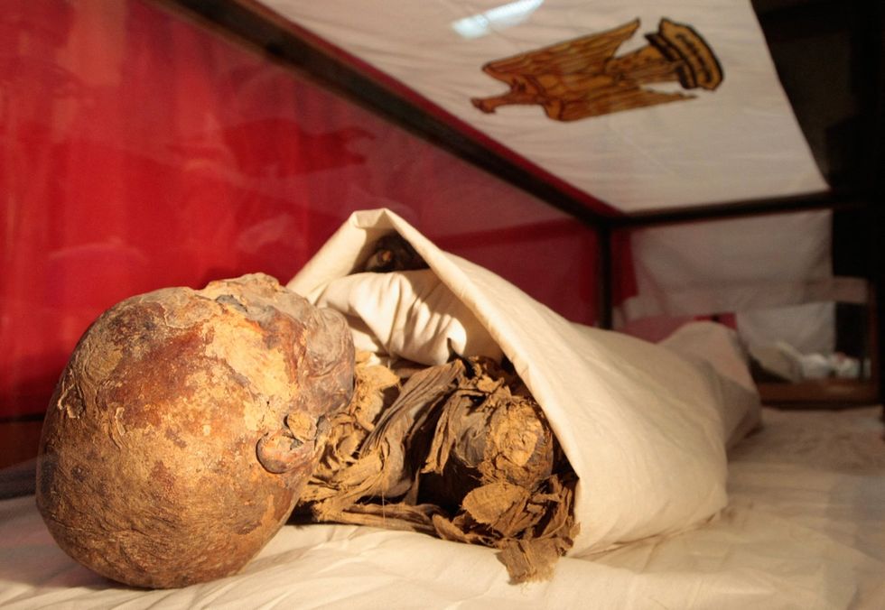 Mummified human remains