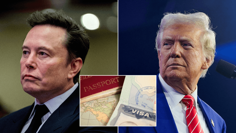Musk/Trump/Visa