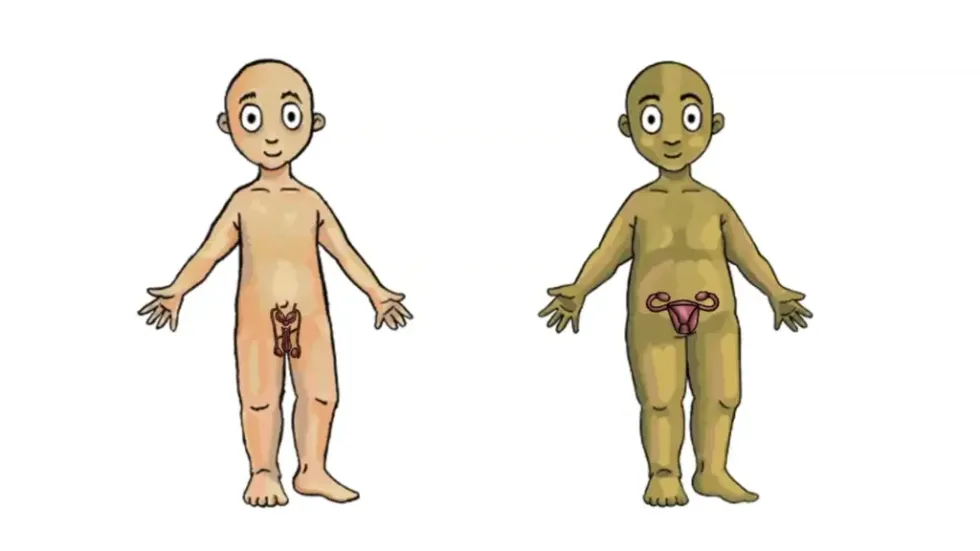 MyGender Dolls