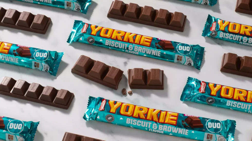 New Yorkie Biscuit and Brownie