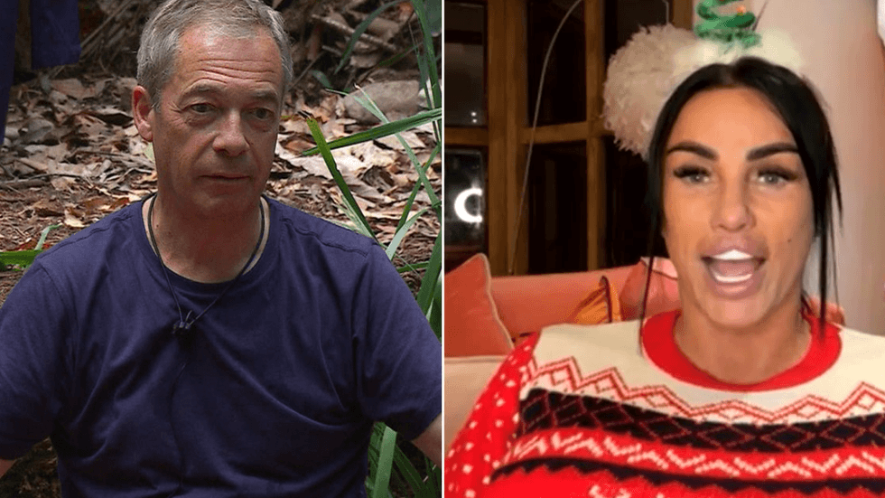 Nigel Farage and Katie Price