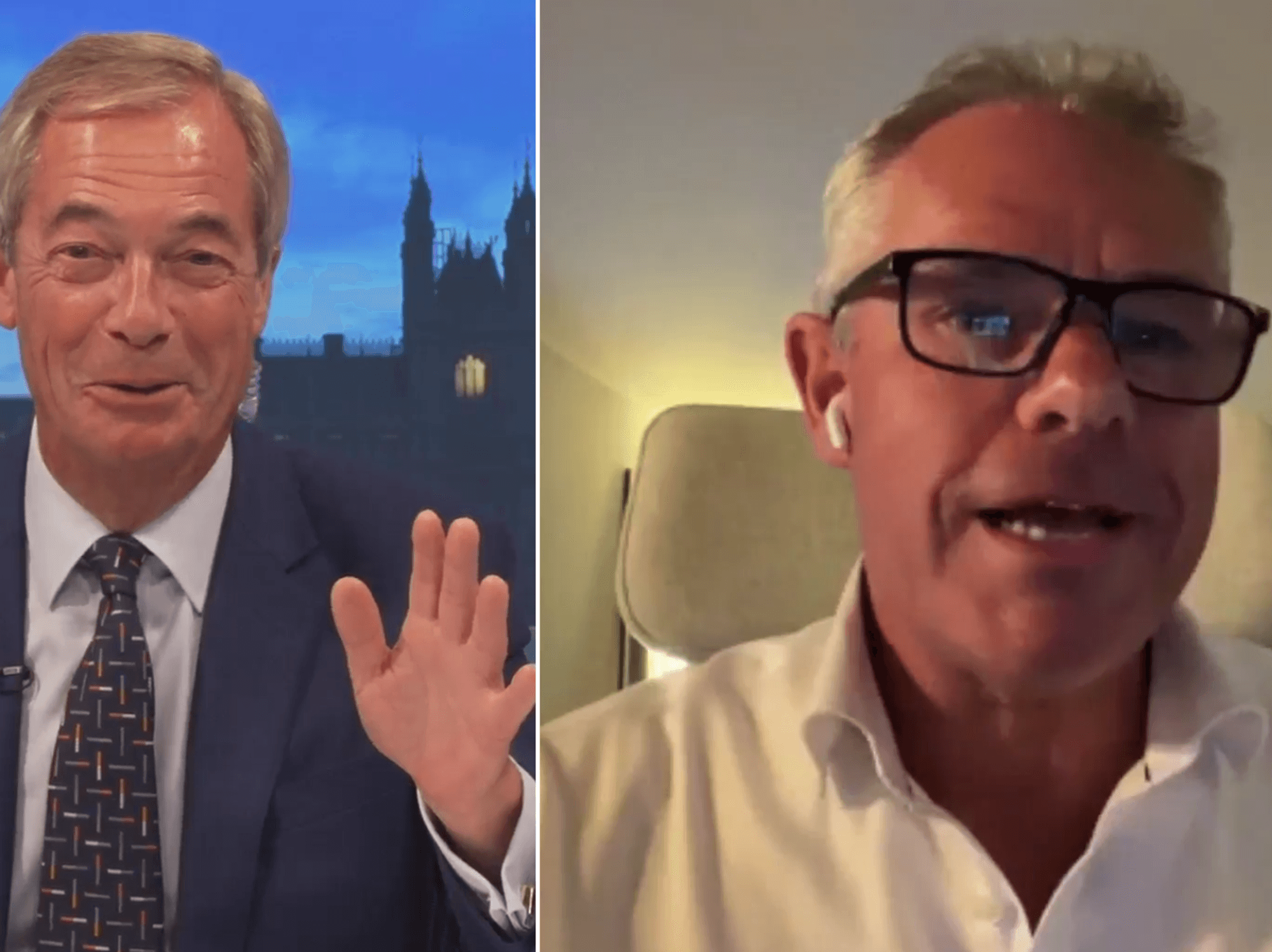 Nigel Farage, Tim McNally