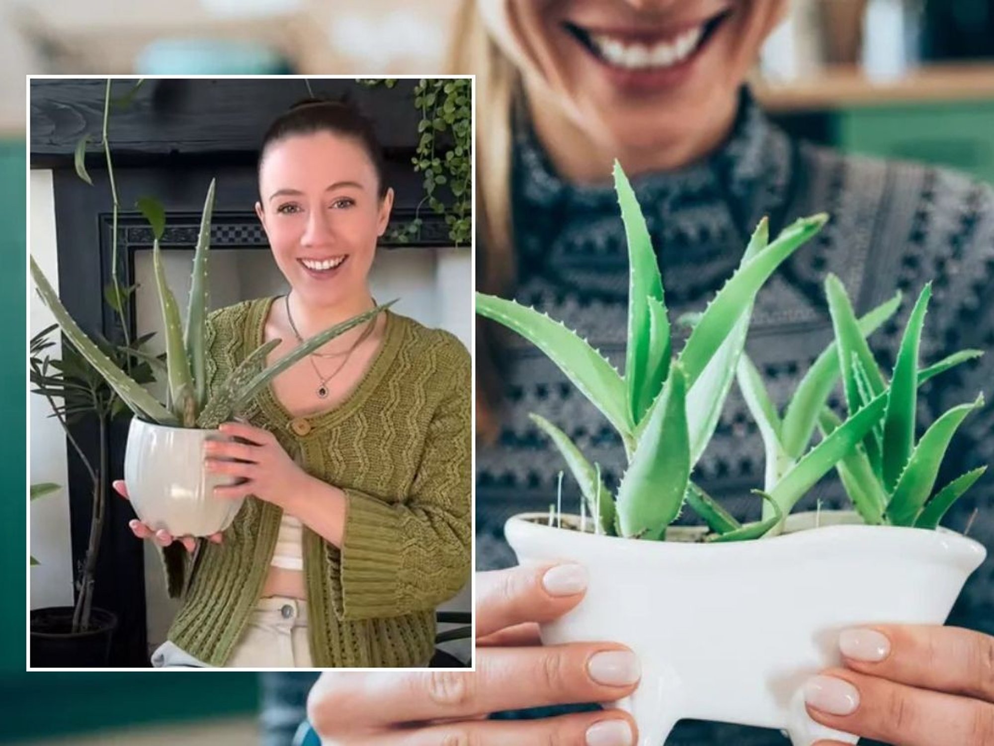 Nina holding aloe vera plant / Woman holding aloe vera plant