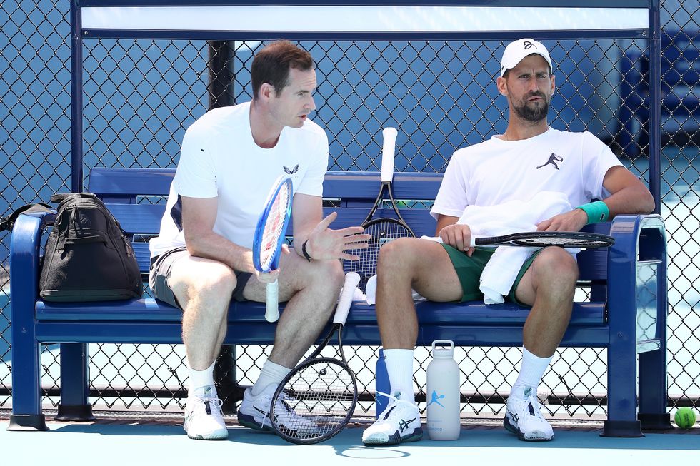 Novak Djokovic Andy Murray