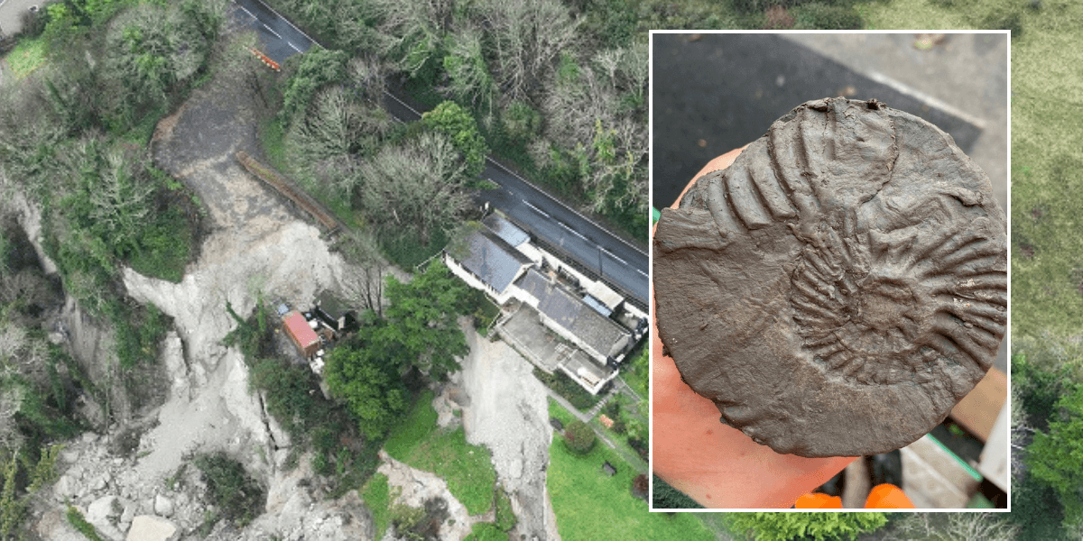 'Treasure trove' of fossilised creatures dating back 100 million years uncovered in incredible discovery