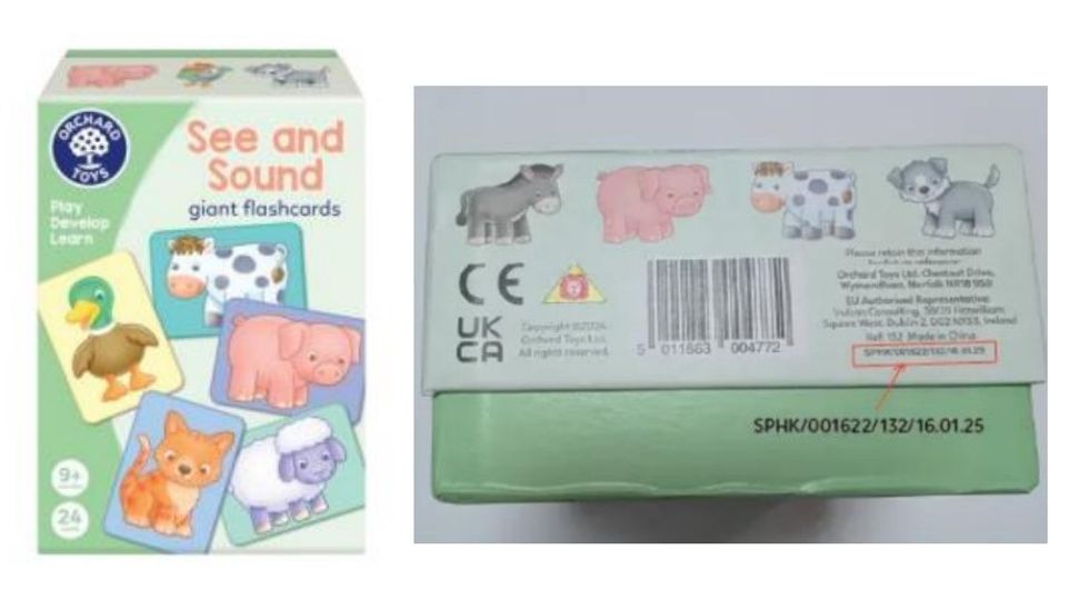 Orchard Toys See and Sound Giant Flashcards