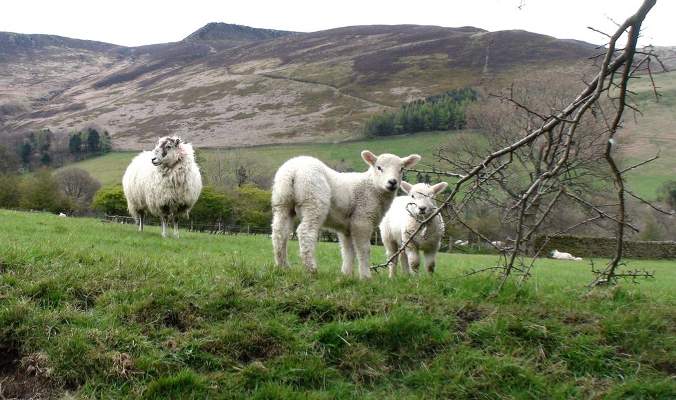 Peak District