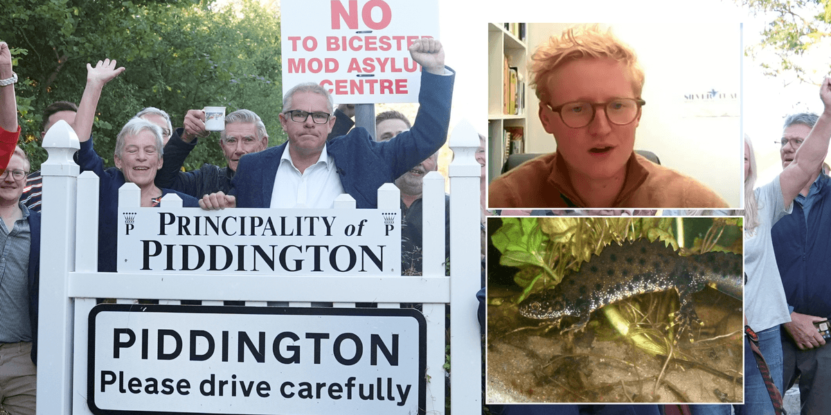 Piddington parish councillor pledges to ‘stand up for newts’ as it emerged migrant camp plans could be scrapped over protected species