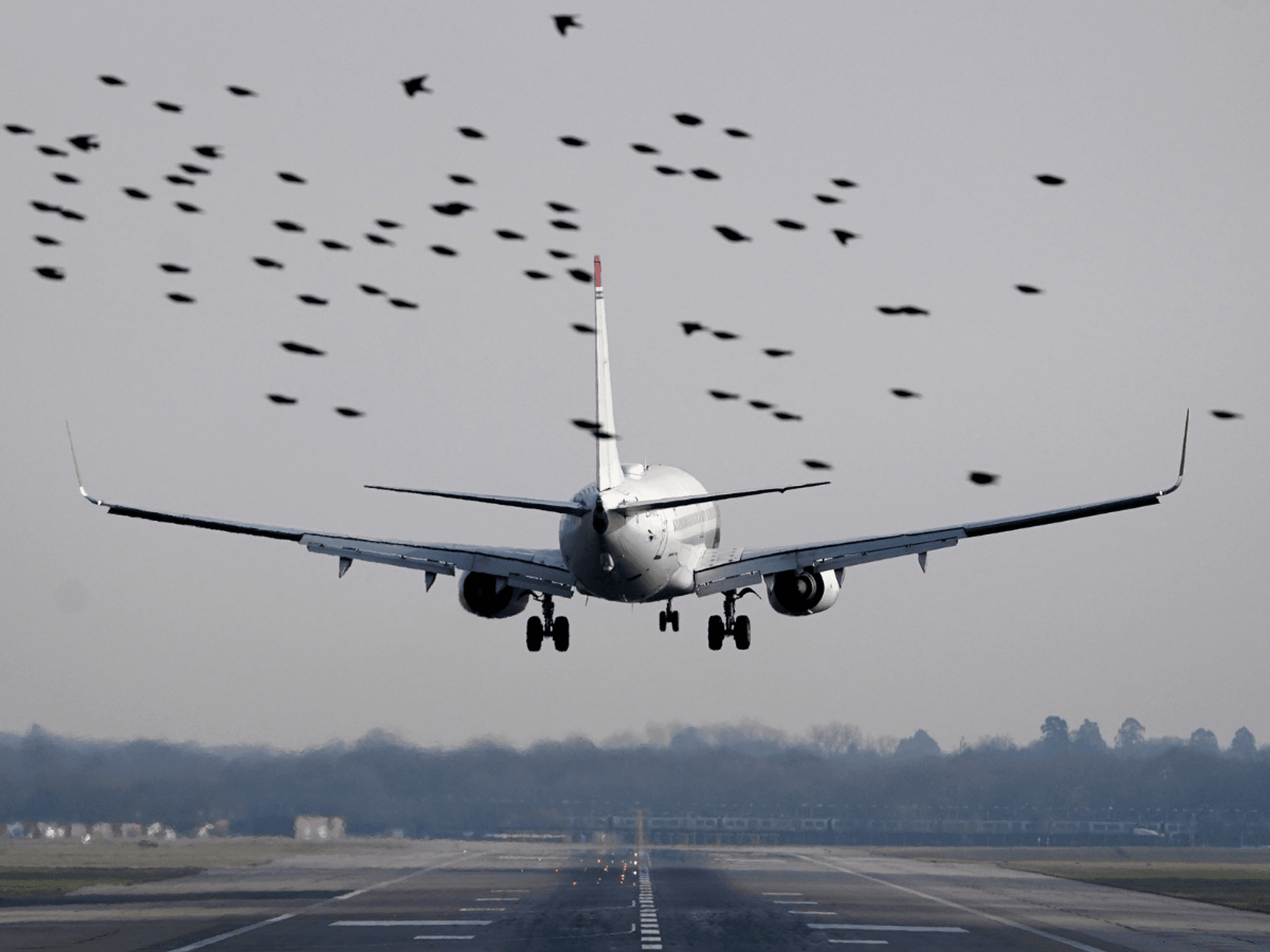 Plane landing at Gatwick