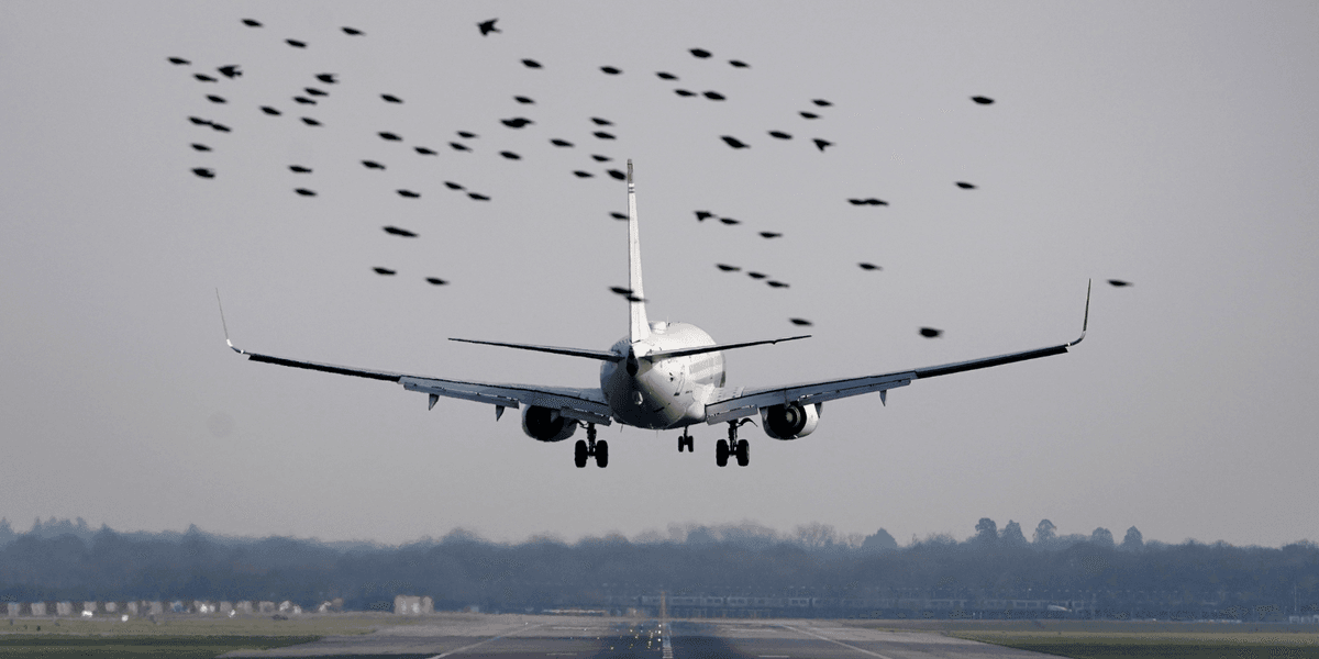 African stowaway found frozen to death in plane's wheel compartment at Gatwick Airport
