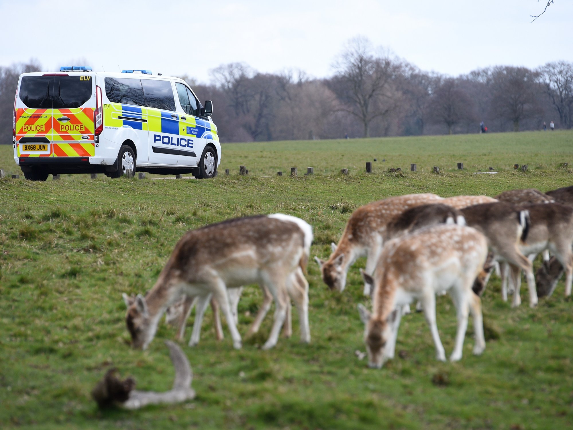 Police patrol Richmond Park, in Richmond upon Thames, southwest London