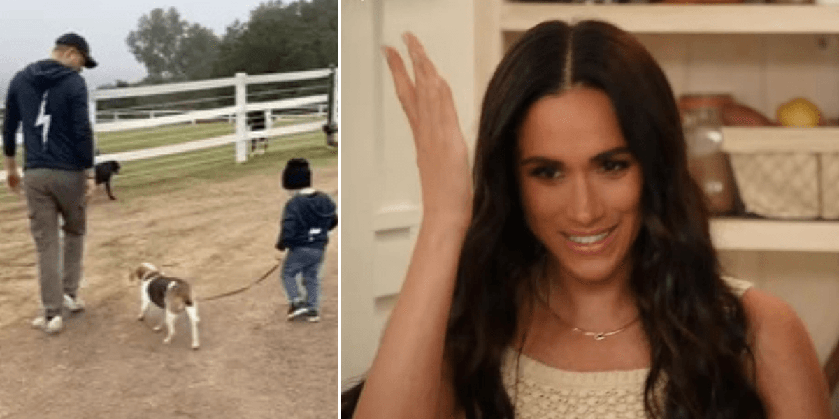 Prince Archie tribute set to promote 'healing and friendship' as Meghan Markle gears up for next move