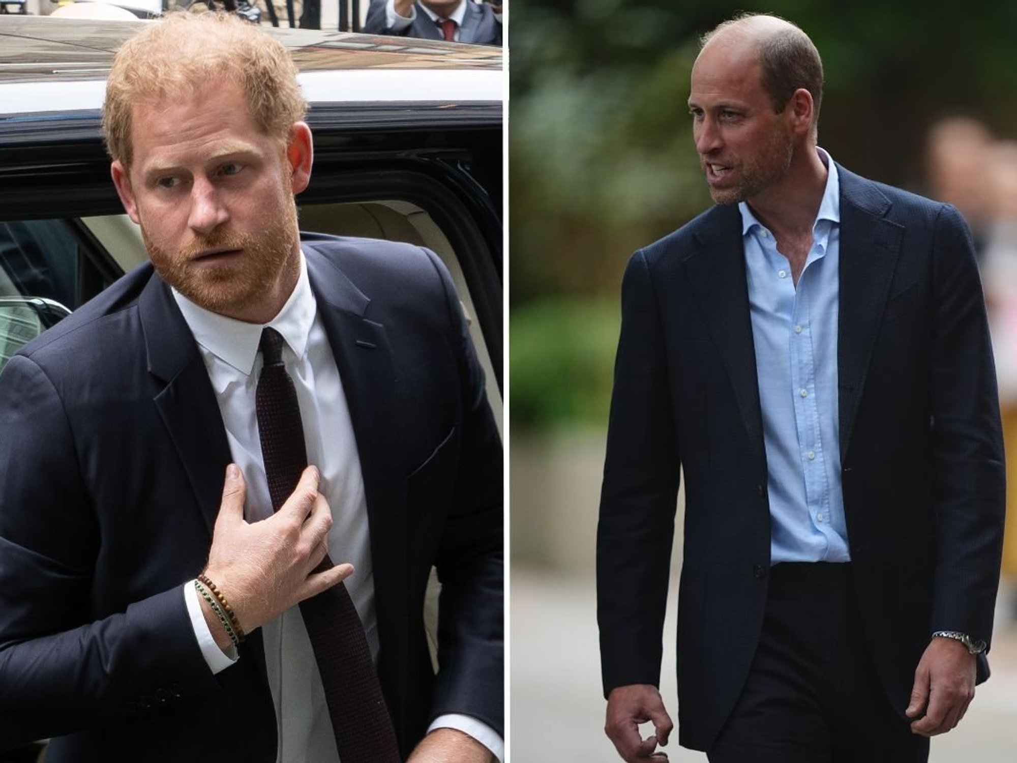 Prince Harry and Prince William