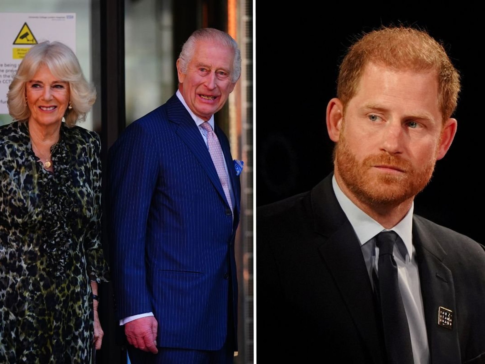 Prince Harry, Queen Camilla, King Charles