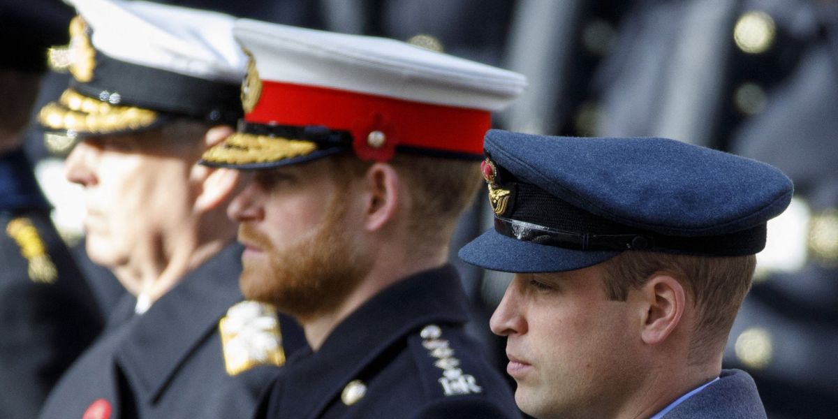 Prince Harry set to miss Cenotaph appearance with King and William despite UK return