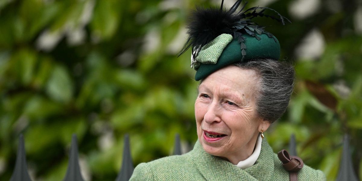 Princess Anne’s ‘lovely’ nature praised as she steps out in Northern Ireland: ‘She’s really down to earth’